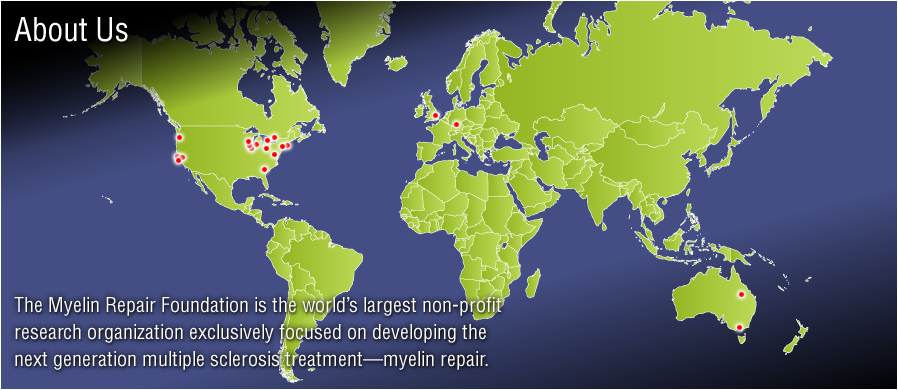 The Myelin Repair Foundation is the world's largest non-profit research organization exclusively focused on developing the next generation multiple sclerosis treatment—myelin repair