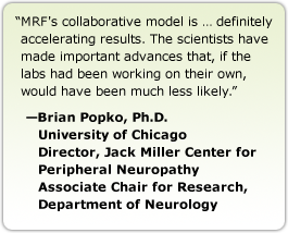 MRF's collaborative model is &hellip; definitely accelerating results. The scientists have made important advances that, if the labs had been working on their own, would have been much less likely. --Brian Popko, Ph.D., University of Chicago, Director, Jack Miller Center for Peripheral Neuropathy, Associate Chair for Research, Department of Neurology