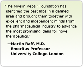 The Myelin Repair Foundation has identified the best labs in a defined area and brought them together with excellent and independent minds from the pharmaceutical industry to advance the most promising ideas for novel therapeutics. --Martin Raff, M.D., Emeritus Professor, University College London